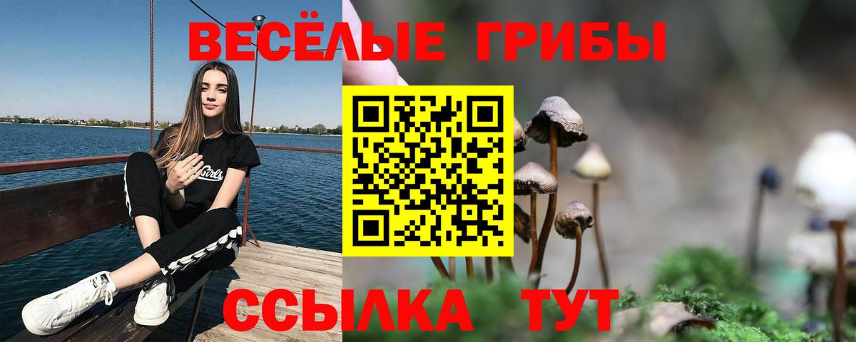 Галлюциногенные грибы Cubensis  Псилоцибиновые грибы ЛСД  Кемерово  Вход с VPN 